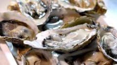 e98efc98a9fef61441e7be03775eee61_s